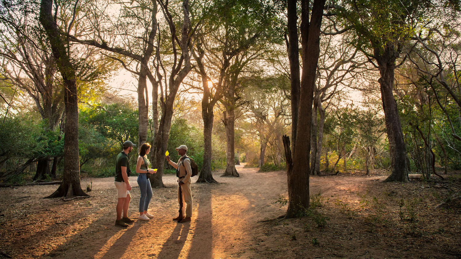 PlaceholderImage1302